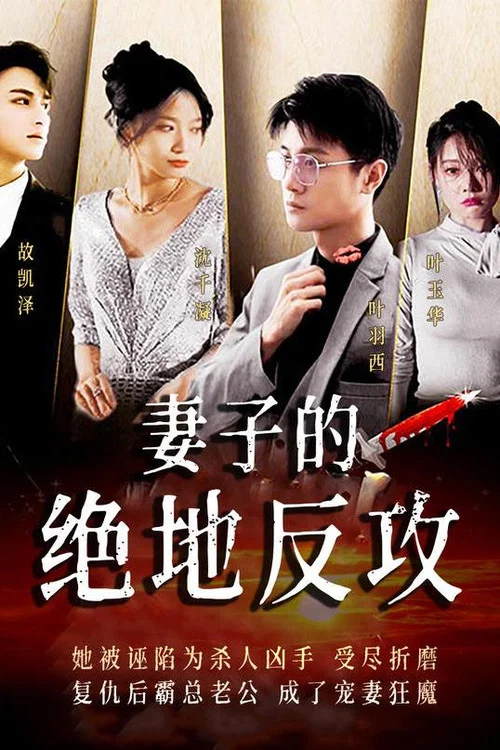 妻子的绝地反攻(2023)海报
