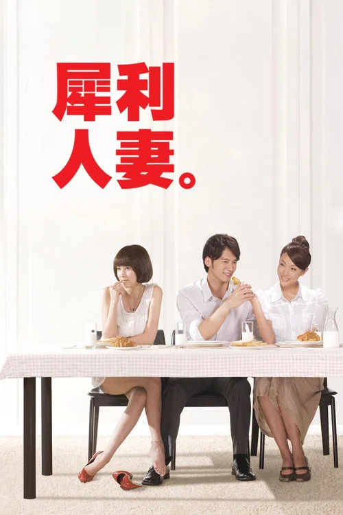 犀利人妻(2010)海报