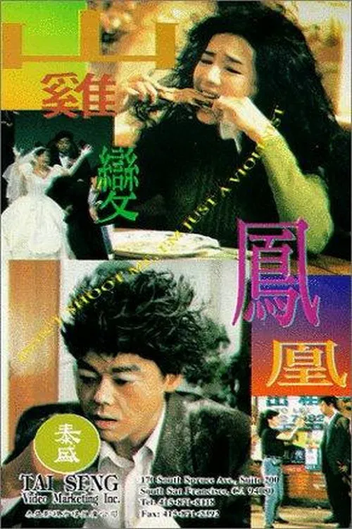 山雞變鳳凰(1994)海報