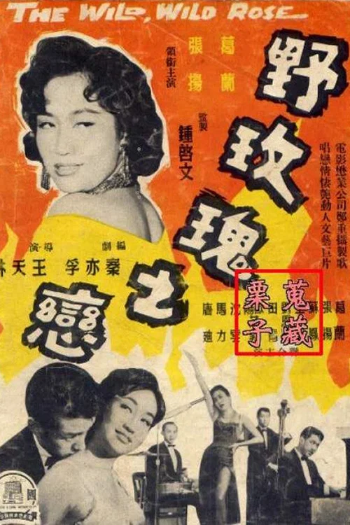 野玫瑰之恋(1960)海报