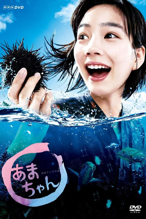 海女(2013)海報