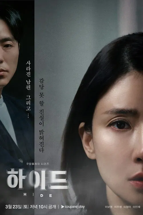 海德(2024)海报