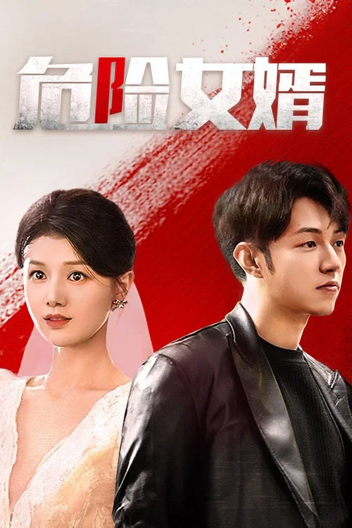 危險女婿(2025)海報