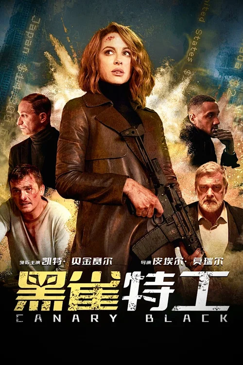 黑雀特工(2024)海報