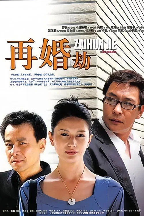 再婚劫海报