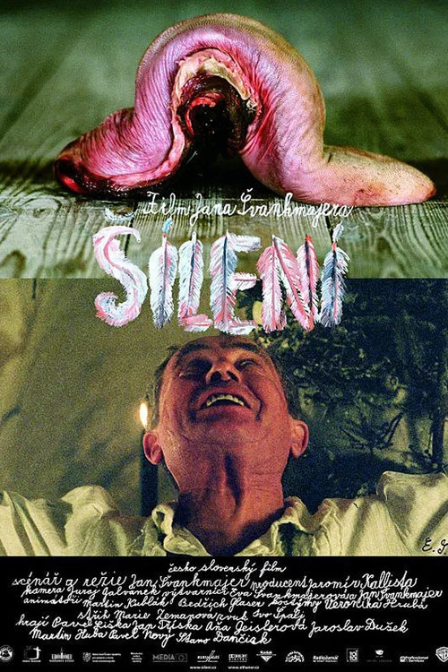 梦魇疯人院(2005)海报