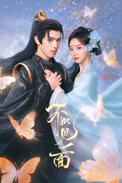 不如見一面(2026)海報