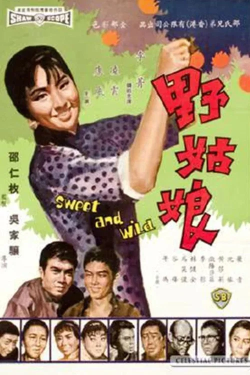 野姑娘(1966)海報