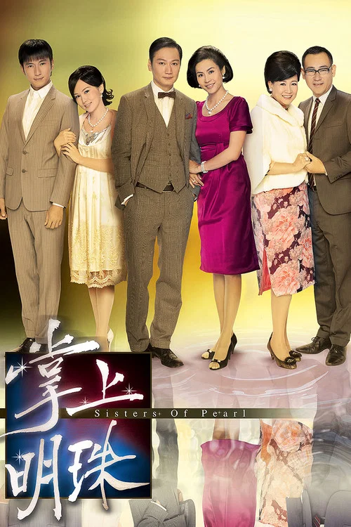 掌上明珠(2010)海報