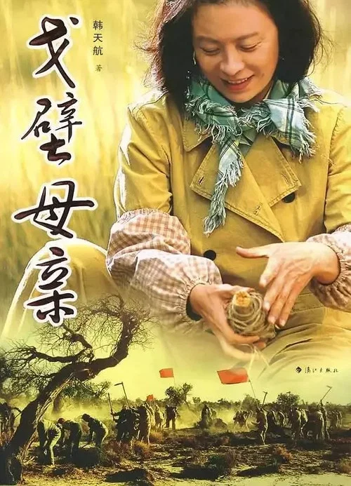 戈壁母亲(2007)海报