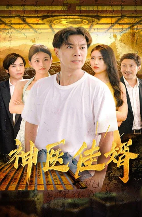 神医佳婿(2023)海报