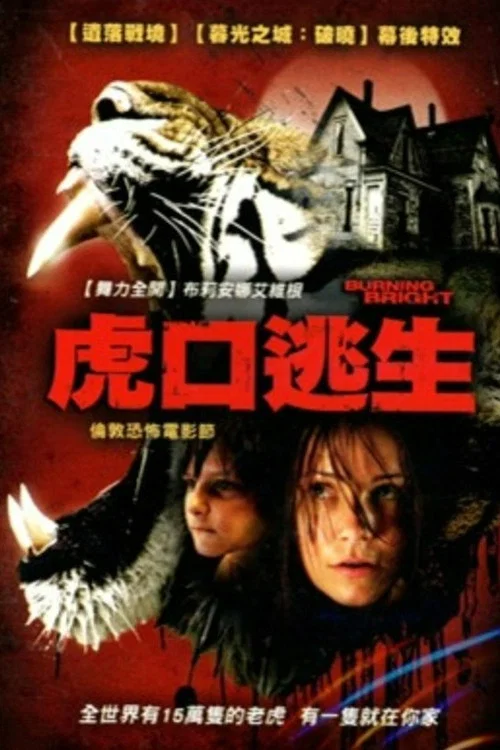 燃燒的夜晚(2010)海報