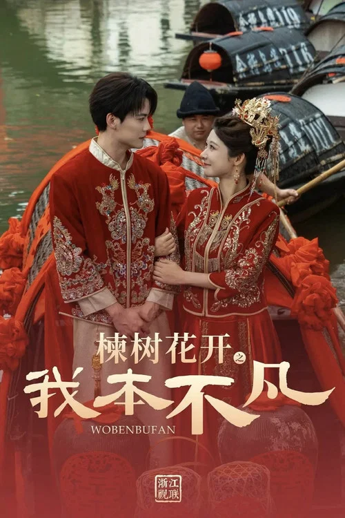我本不凡(2026)海報