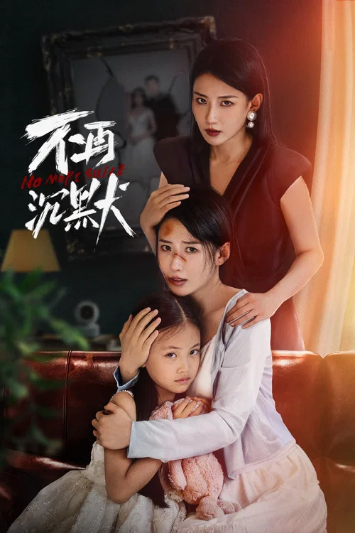 不再沉默(2024)海報