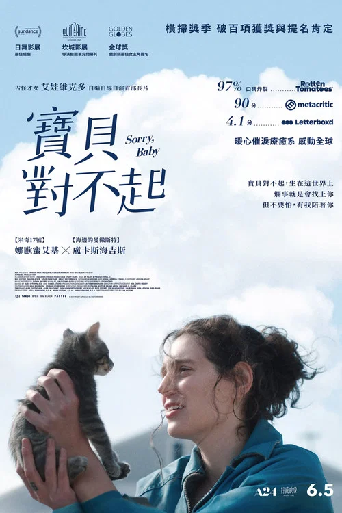 对不起,宝贝(2025)海报
