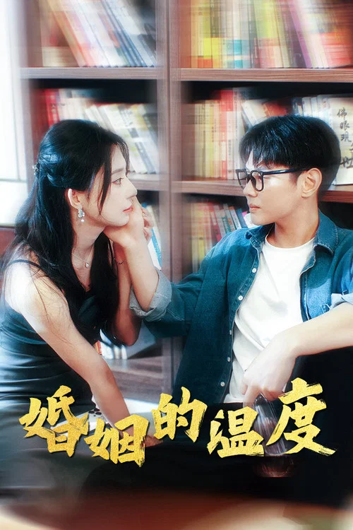 婚姻的温度(2024)海报