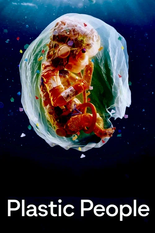 塑料人间海报
