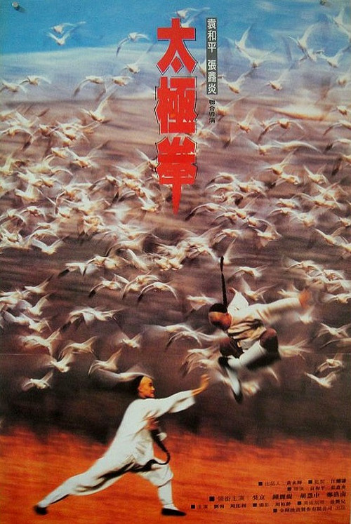 功夫小子闯情关(1996)海报