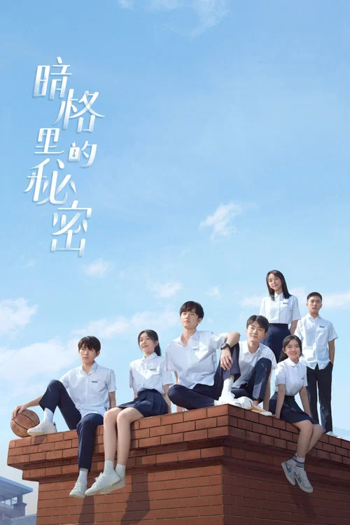 暗格里的秘密(2021)海报