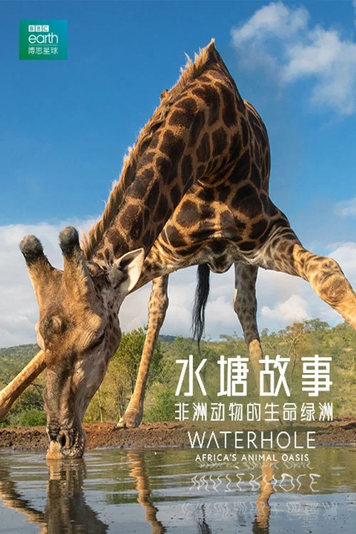 水塘故事非洲動物的生命綠洲(2020)海報