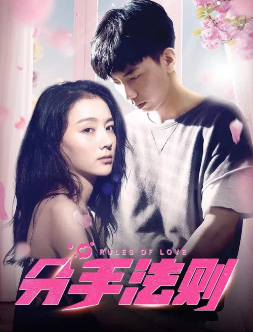 分手法則(2019)海報