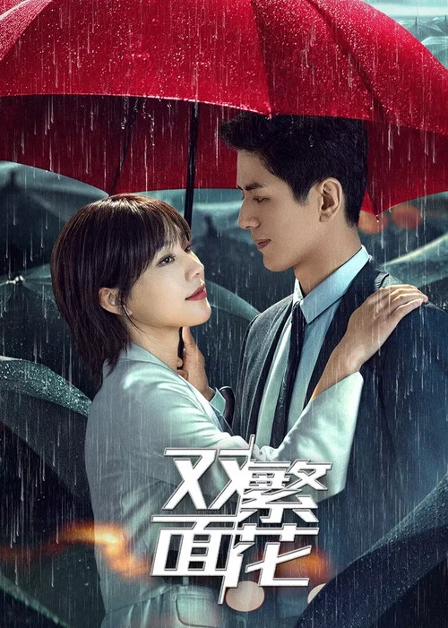 雙面繁花(2024)海報