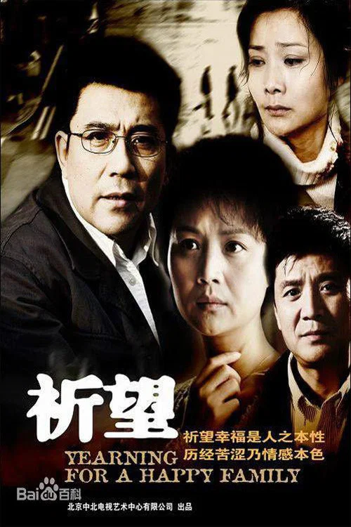 祈望(2008)海報