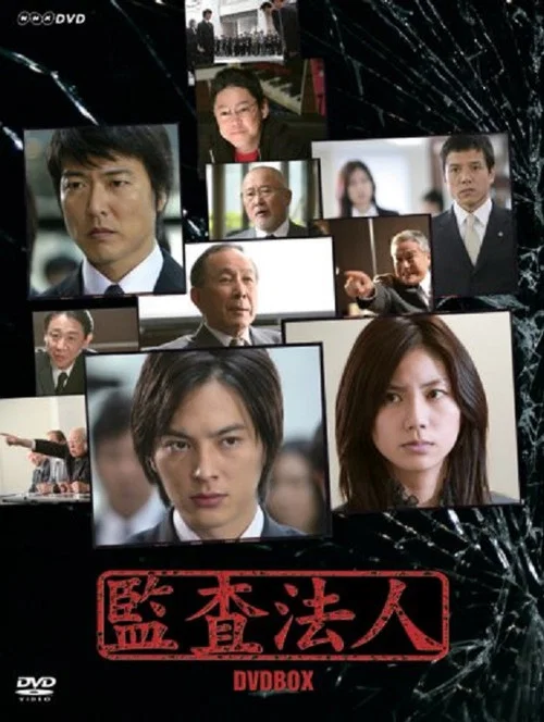 審計風雲(2008)海報