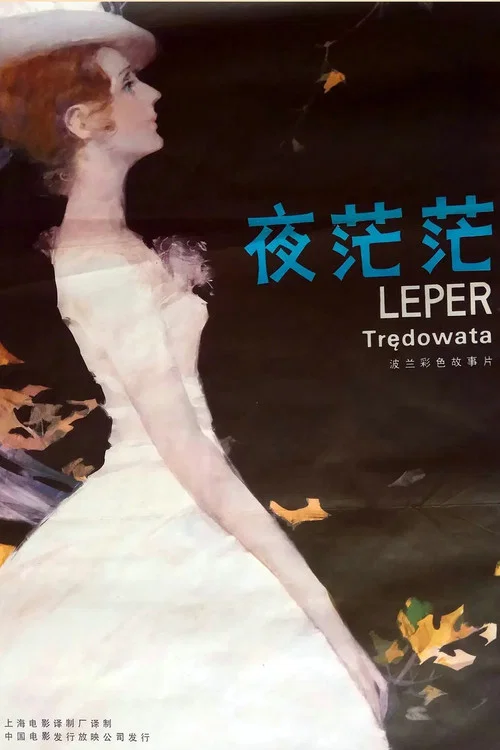 夜茫茫(1976)海報