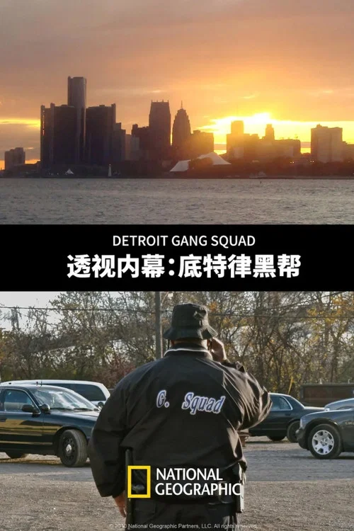透視內幕底特律黑幫(2010)海報