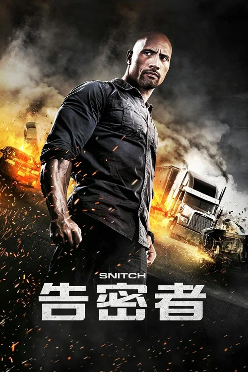 告密者2013(2013)海报