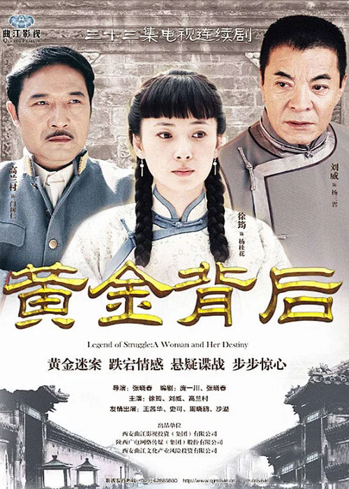 黄金背后 (2013)(2013)海报