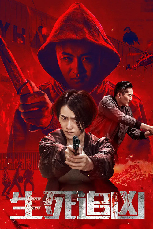 生死追凶(2019)海报