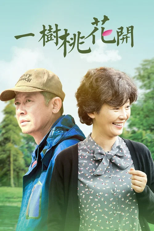 一树桃花开(2017)海报