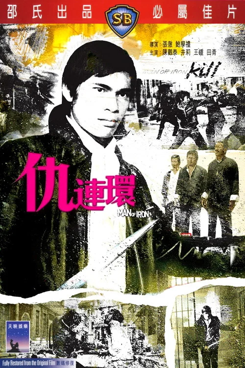 仇连环(1972)海报