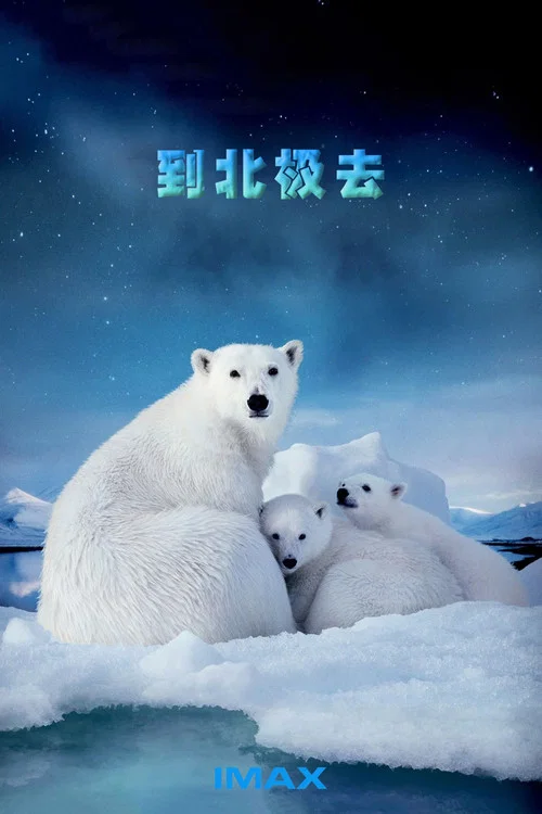 北极(2012)海报