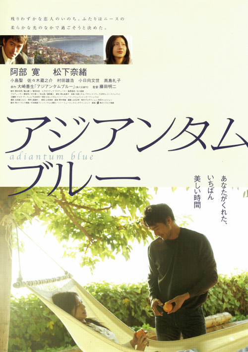 铁线蕨青(2006)海报