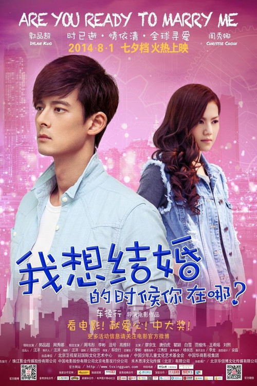 我想結婚的時候你在哪(2014)海報