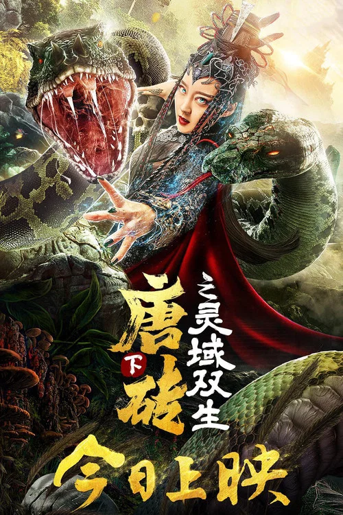 唐砖下之灵域双生海报