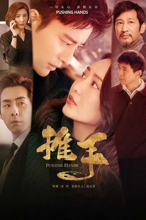 推手(2019)海报