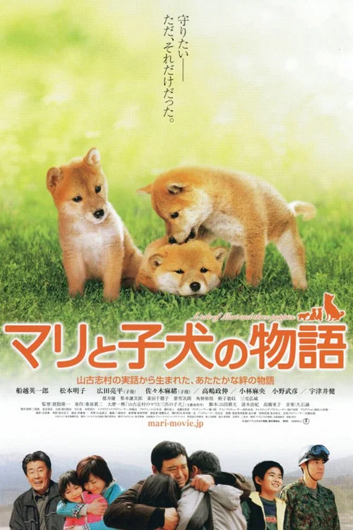 愛犬的奇蹟(2007)海報