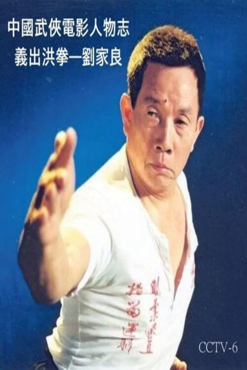 中国拳(2008)海报