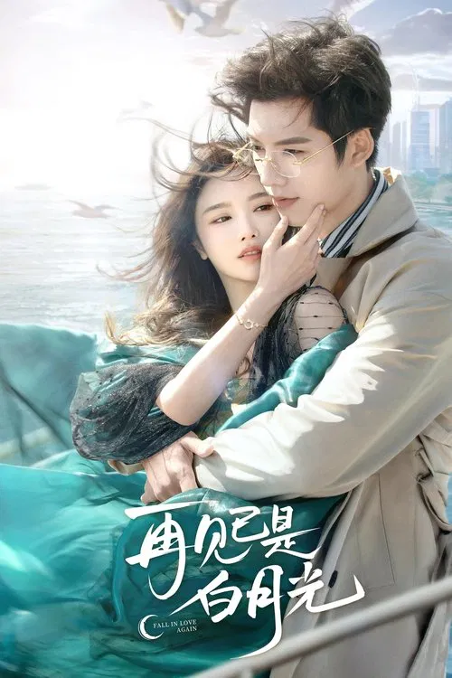 再見已是白月光(2024)海報