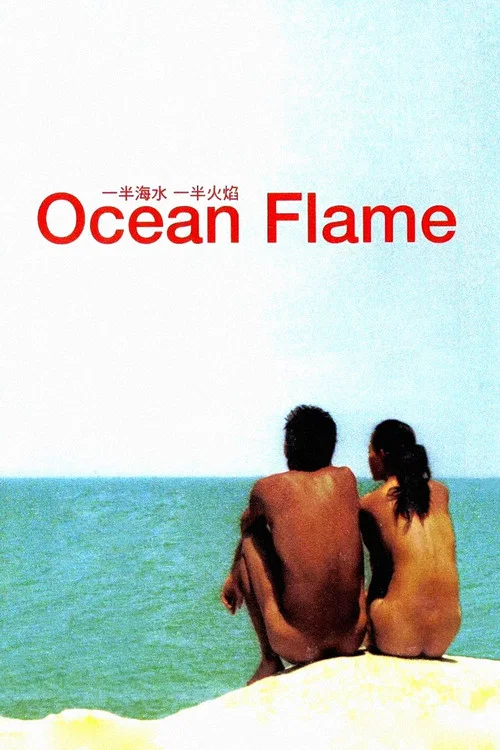 一半海水一半火焰(2008)海报