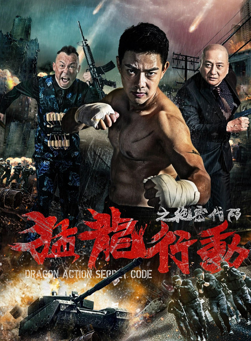 猛龍行動之絕密程式碼(2019)海報