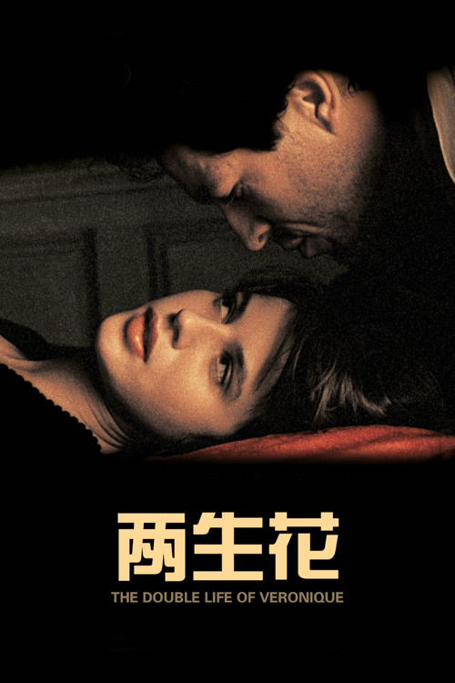 两生花(1991)海报