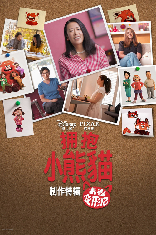 拥抱小熊猫:青春变形记背后的故事剧照4