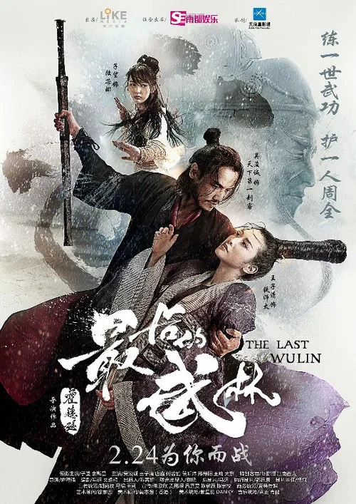 最后的武林(2017)海报