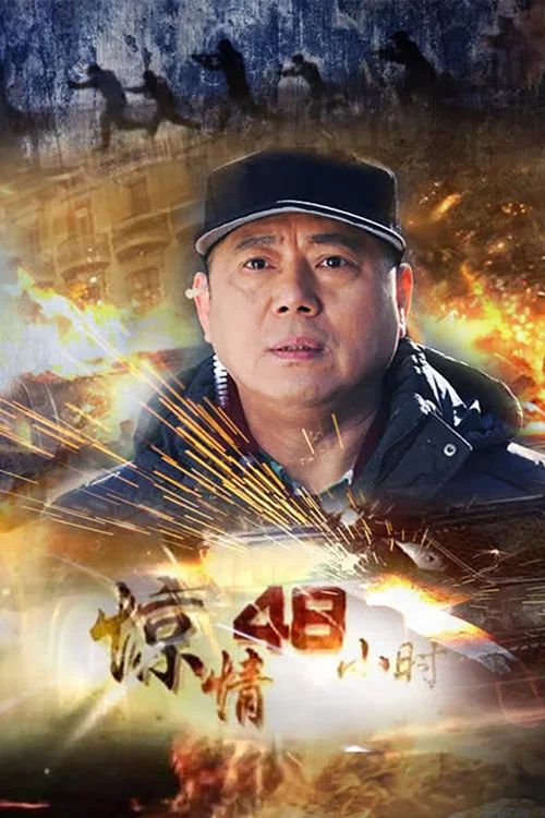驚情48小時(2013)海報
