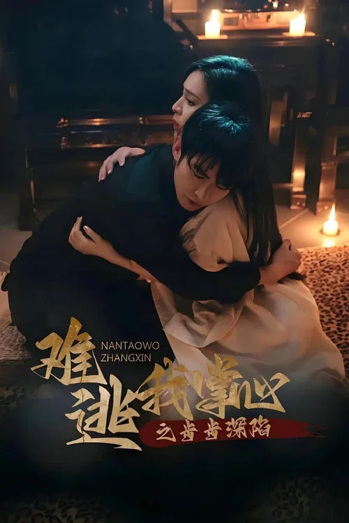 爱之迷途(2025)海报